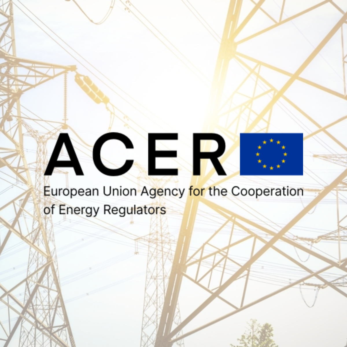 ACER - Updated Remit Framework Strengthens Trust in EU Energy Markets