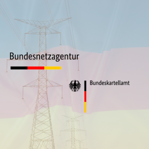 No Manipulation Found in the German Power Market (Yet)