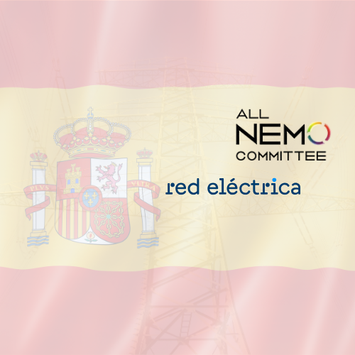 Report Issued on Partial Decoupling in EU Coupled Power Market