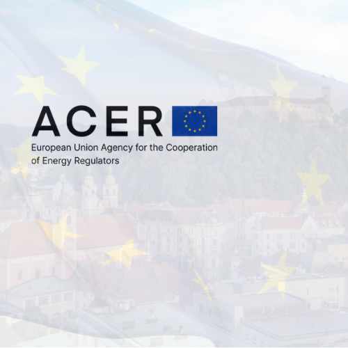 EU Commission Veteran Takes the Helm at ACER
