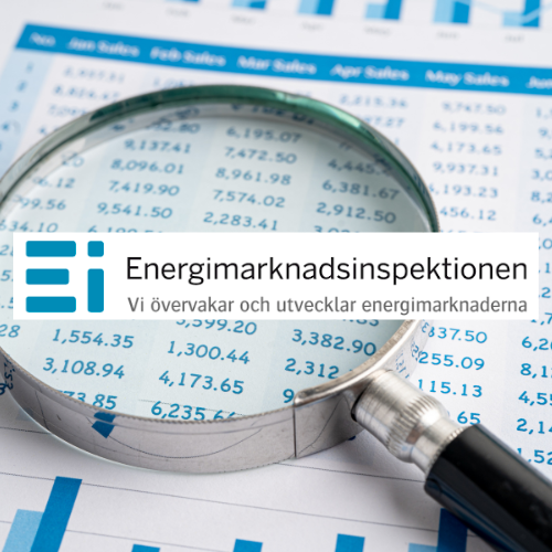 Swedish Energy Regulator Investigates Erroneous Trade Orders