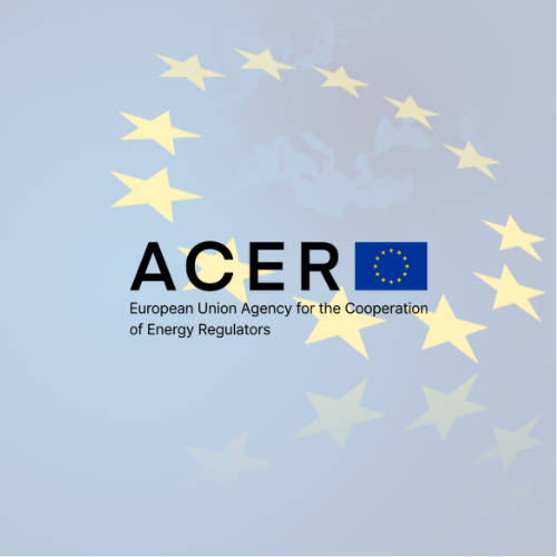 ACER Updates REMIT Reporting Guidance