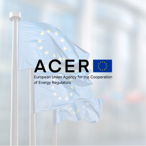 ACER's New Playbook: Cross-Border Energy Market Abuse Meets Direct Enforcement